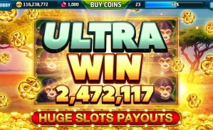 pix bet login